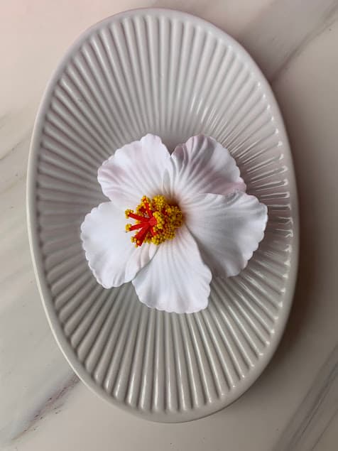 Pinzas de Flor 5