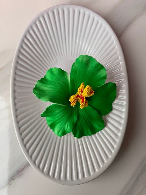 Pinzas de Flor 6