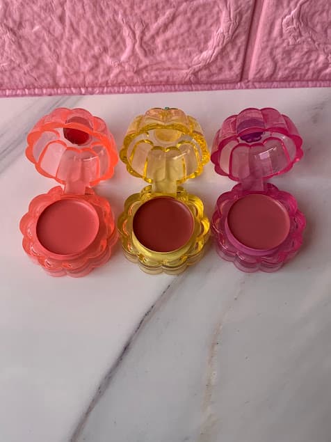 Blush & Labial 2
